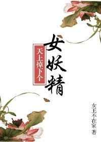 天上掉下个媳妇免费阅读