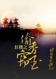 红楼偷邢夫人全集
