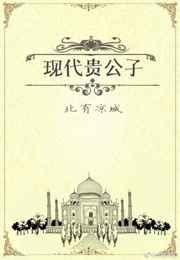 主角是贵公子的文笔好的