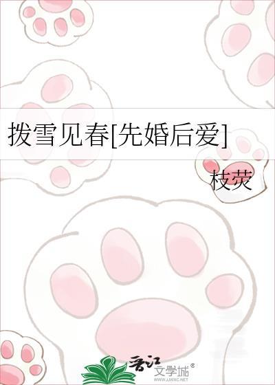 拨雪见春讲的什么
