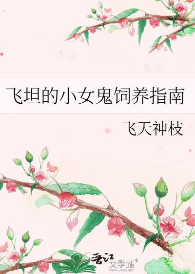 飞坦同人文女主