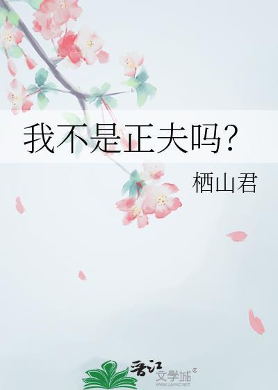 我不是正夫吗by青灯全文阅读免费