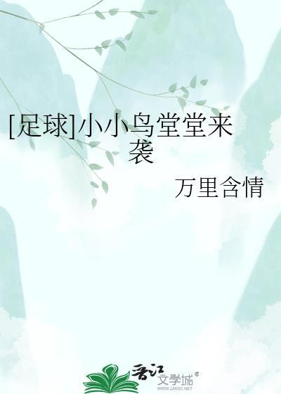 足球小小鸟堂堂来袭