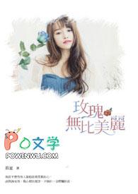 瑰丽无比和美丽无比的区别