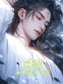 小暗卫影十七