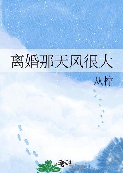 离婚那天风很大免费阅读