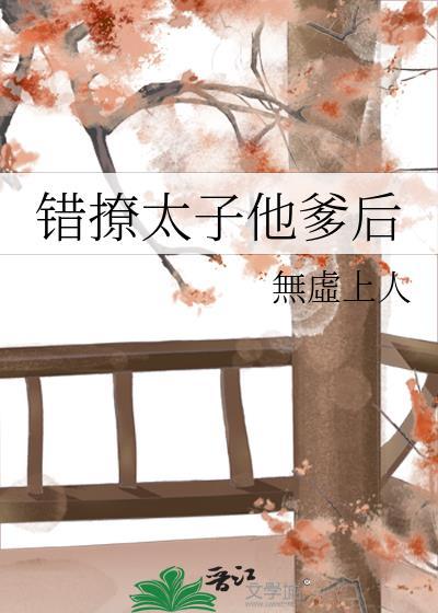 错撩公子之后