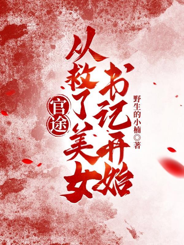 官途从结怨美女书记开始