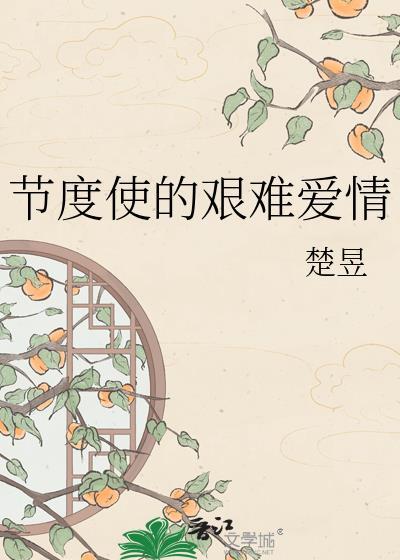 节度使的艰难爱情免费阅读