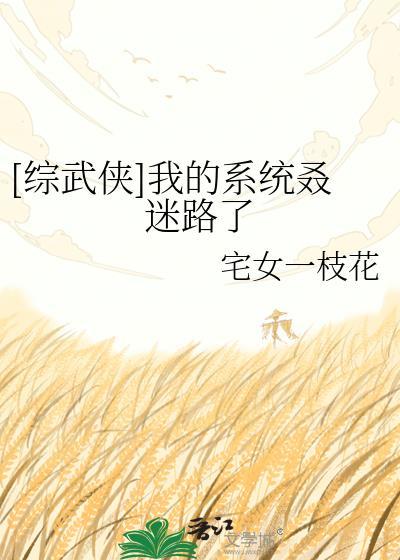 综武 系统