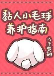 怎样做粘毛球视频