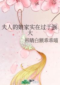 夫人的娘家势力