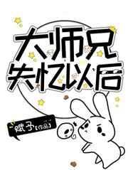 大师兄失忆以后讲的什么