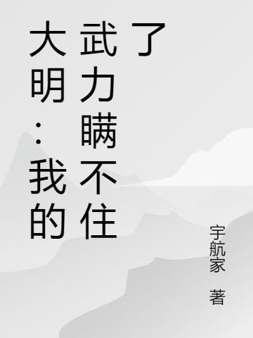 大明武人