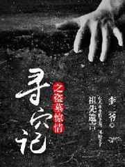 盗墓寻龙 剧情简介