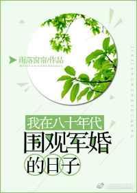 我在八十年代围观军婚的日子晋江