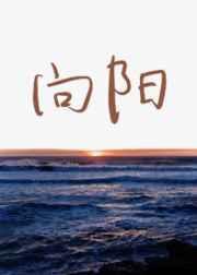 向阳葵在夜晚绽放漫画全集免费阅读
