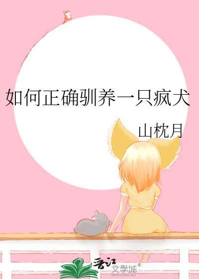 驯养一只疯犬txt