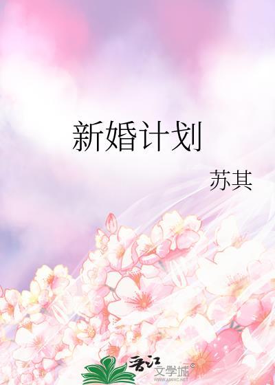 新婚计划txt苏其