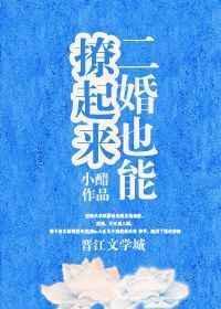 二婚也很甜