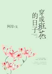 穿成班花的故事