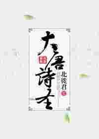 大唐诗圣电视剧分娩第几集