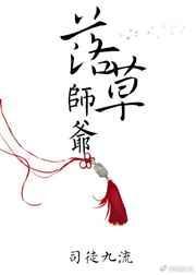 落草师爷 好看吗