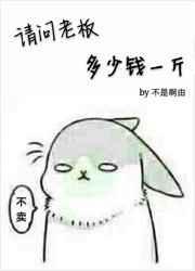 老板价格表