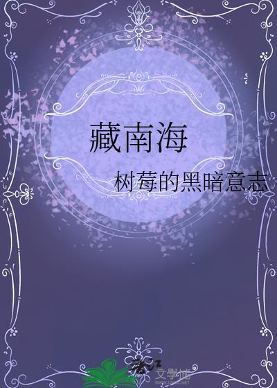 藏南海txt