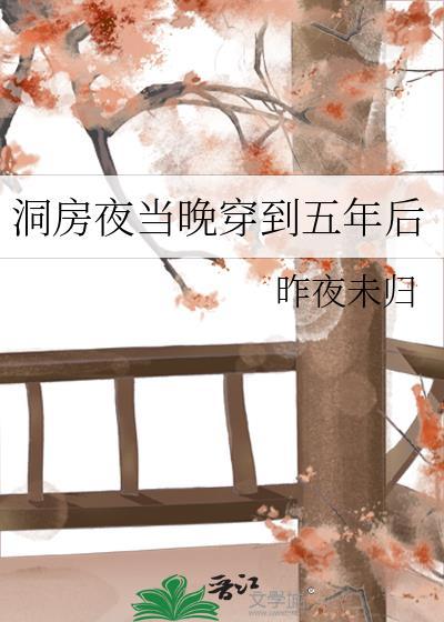 洞房夜当晚穿到五年后大结局