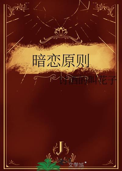 暗恋原则txt