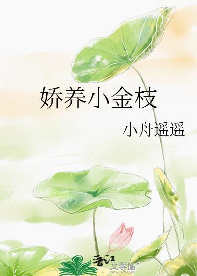 娇养小金枝TXT百度裴寂