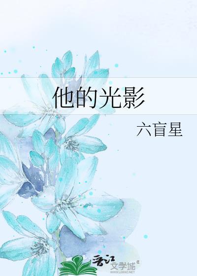 他的光影_六盲星番外