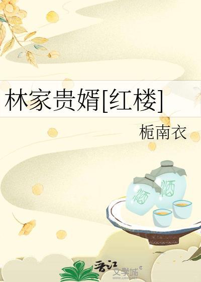 林家女婿