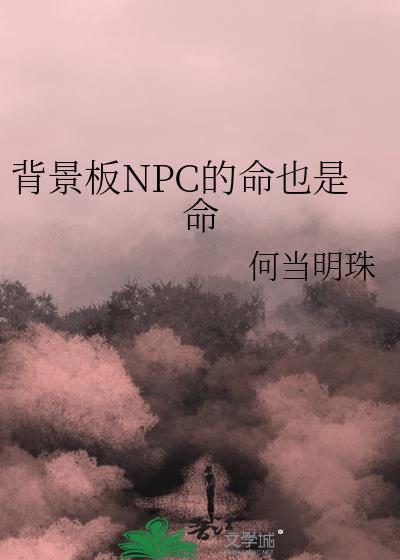 npc背景介绍