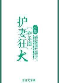 护妻狂龙短剧全集