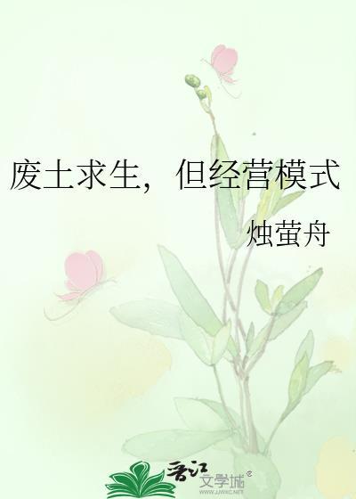 废土求生但经营模式TXT