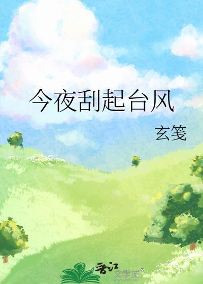 今夜刮起台风全文TXT