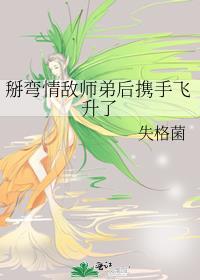 情敌掰弯攻略txt